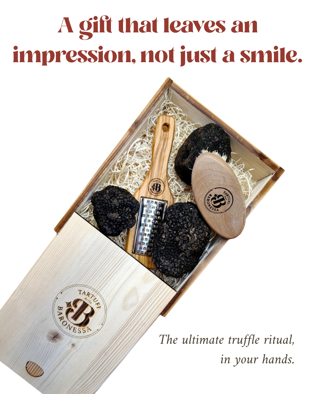 Truffle Starter Bundle