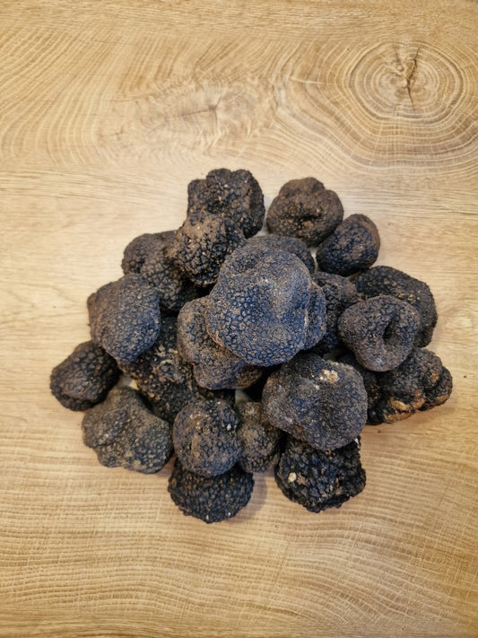 Fresh Black Summer Truffles