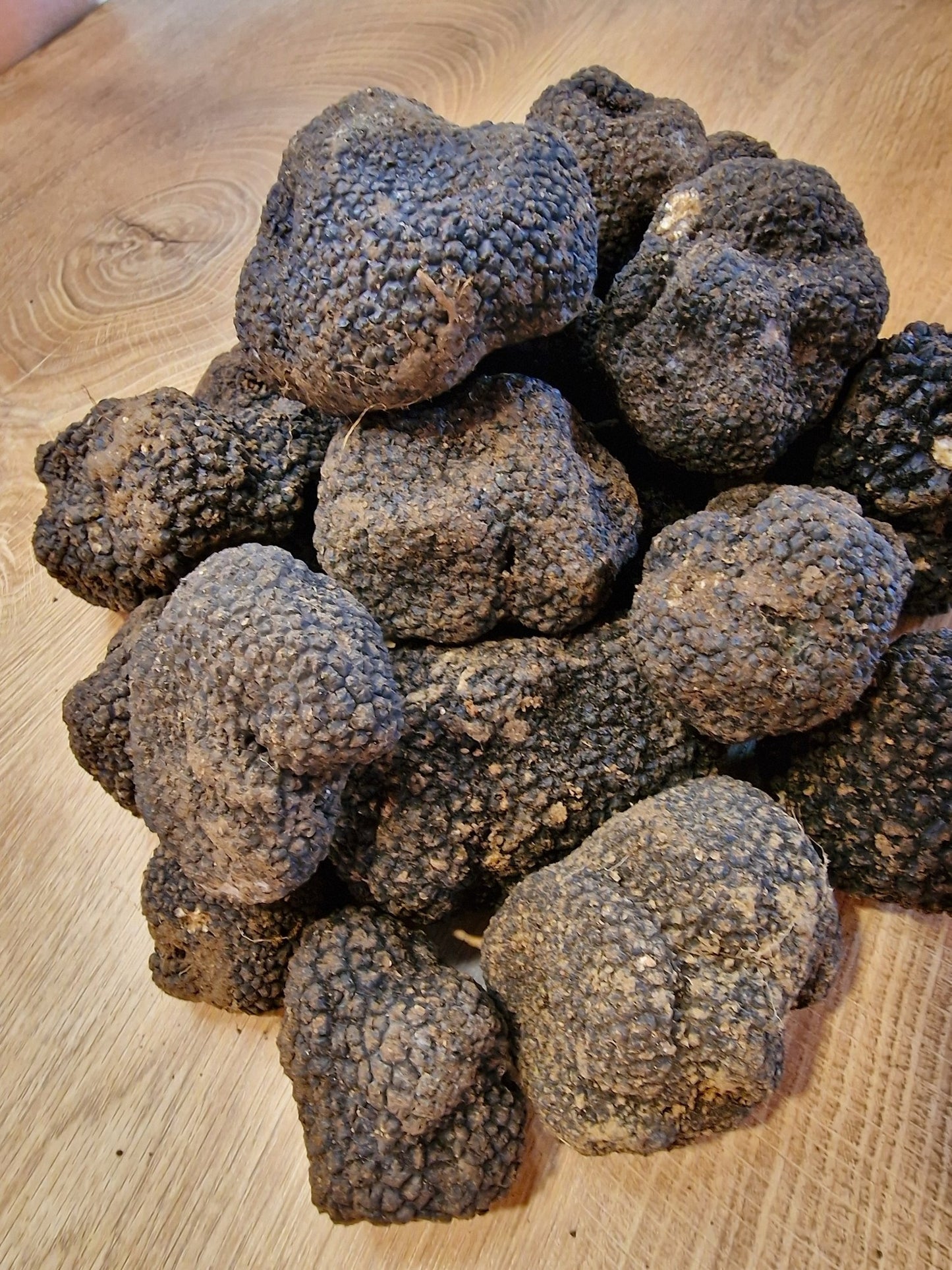 Fresh Black Summer Truffles