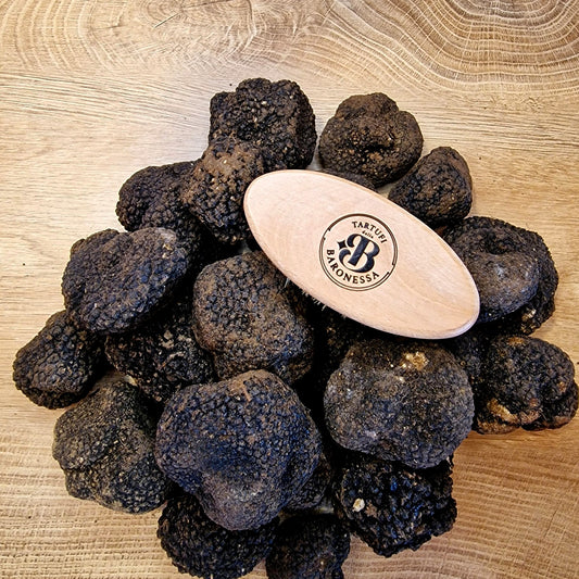 Truffle Cleaning Brush