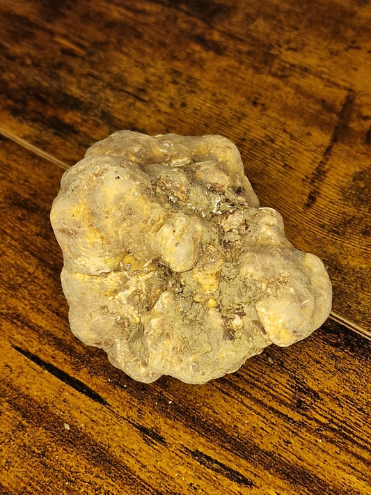 Fresh White Truffles