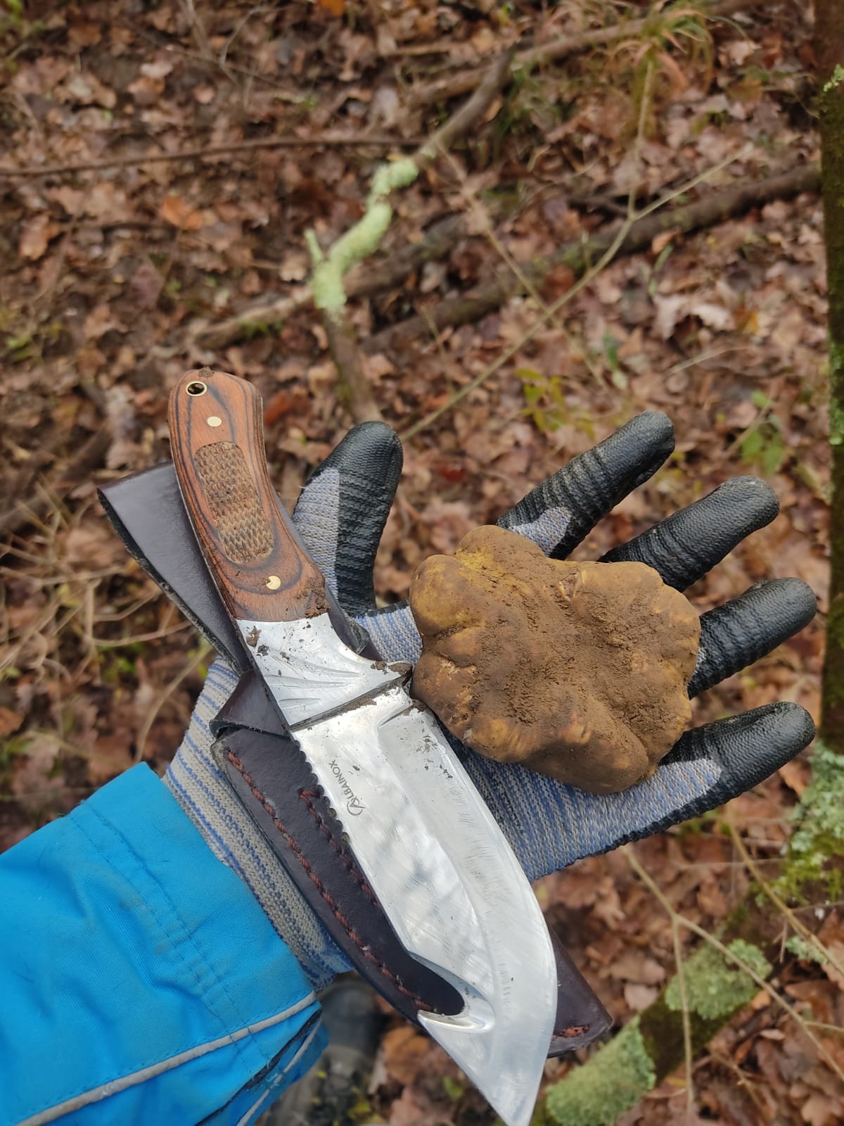 Fresh White Truffles