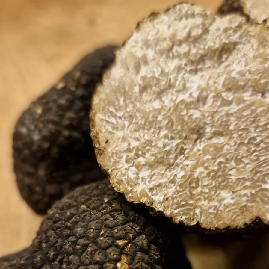 Close-up of a black truffle with a white cap on a wooden surface