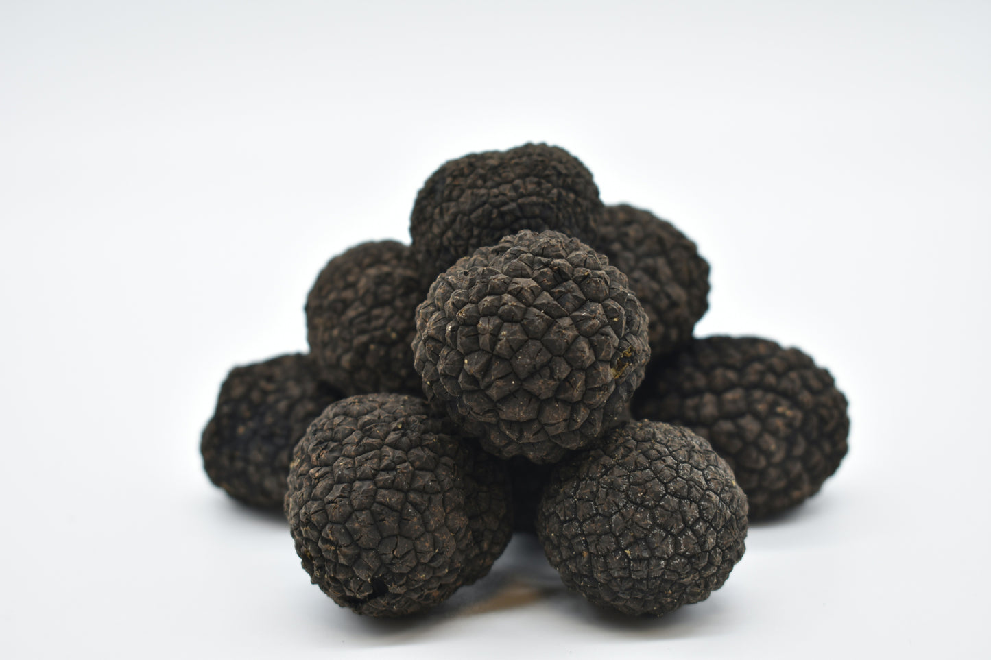 Fresh Black Autumn Truffles